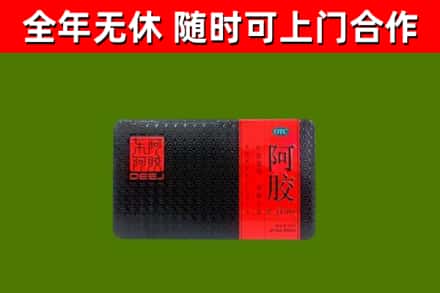 云梦县回收阿胶