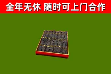 云梦县回收海参